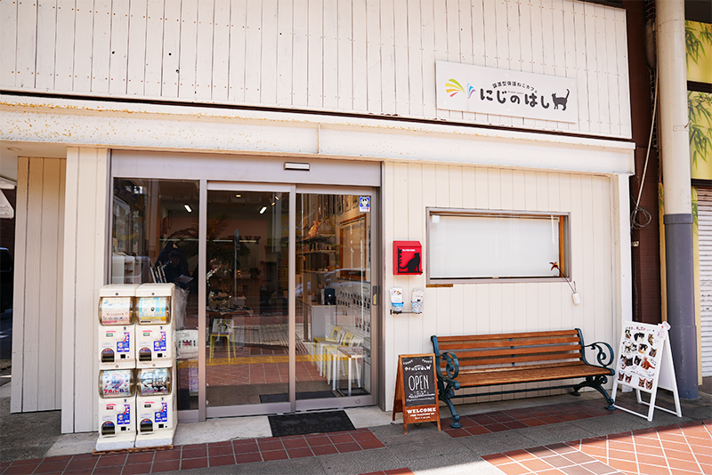 保護ねこカフェにじのはし